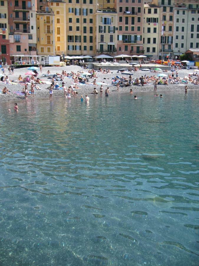 The Sea At .. House Διαμέρισμα Camogli Εξωτερικό φωτογραφία